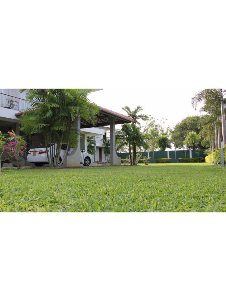 Lake Wind Hotel Tissamaharama Exterior photo